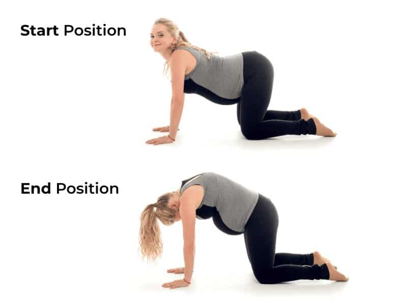 Pregnant woman performing a cat cow mobilization exercise for lower back pain relief