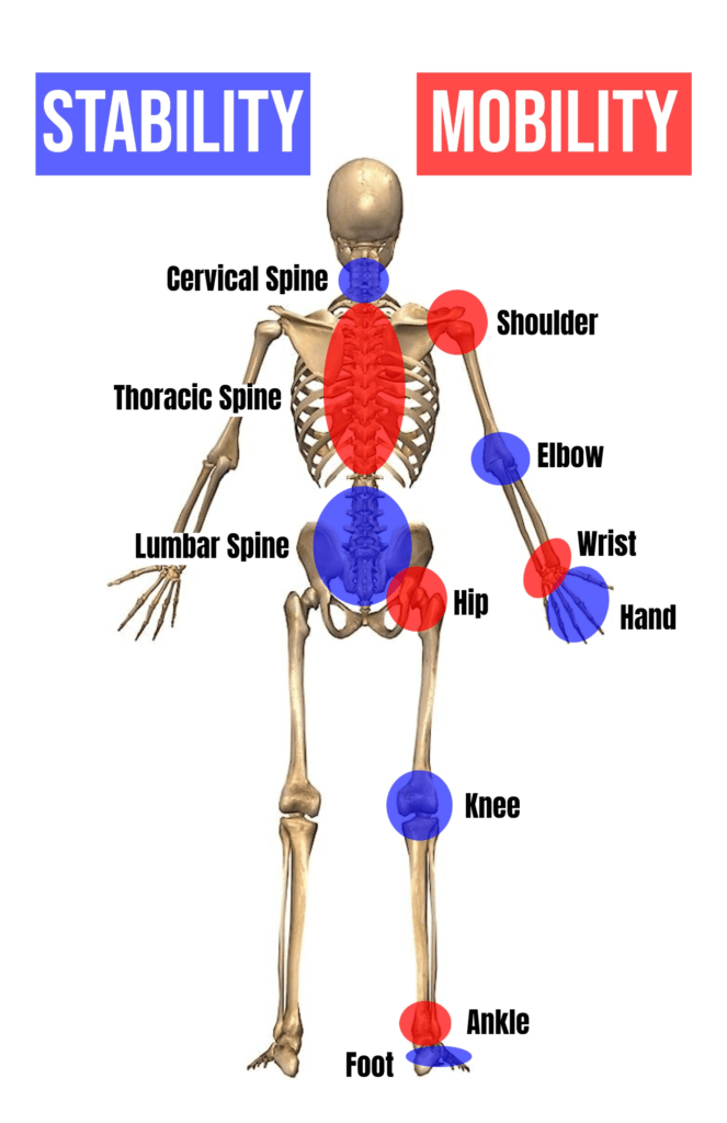 An image of the kinetic chain, courtesy of Slainte Fitness