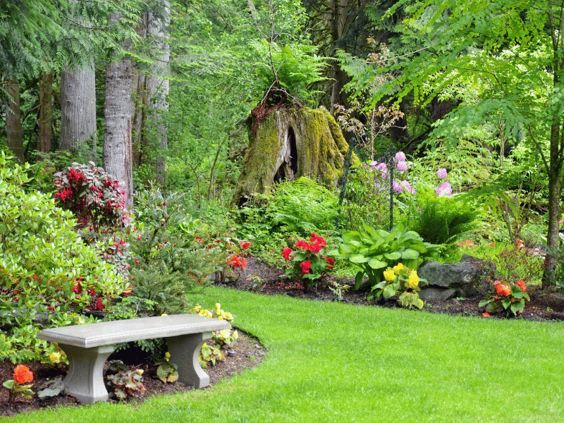 A well tended garden with a clean walkway and bench.