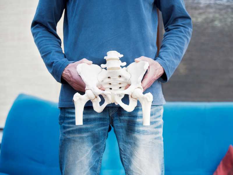 A man holding an anatomical skeleton pelvis at his waist line.